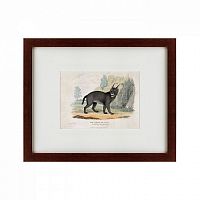 картина: a caracal or lynx, 1830 в Белгороде